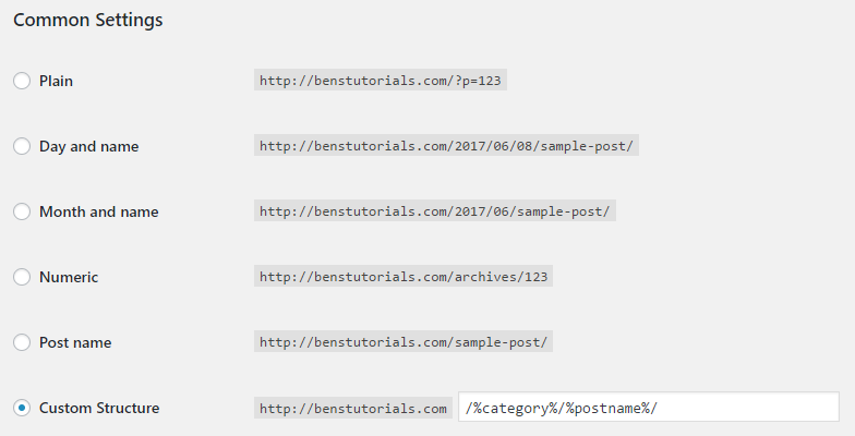 Wordpress Permalinks Common Settings