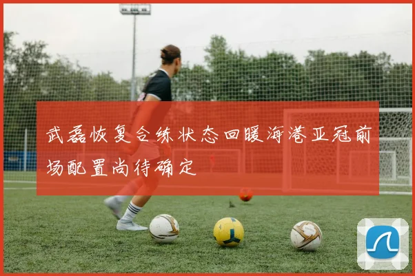 武磊恢复合练状态回暖海港亚冠前场配置尚待确定